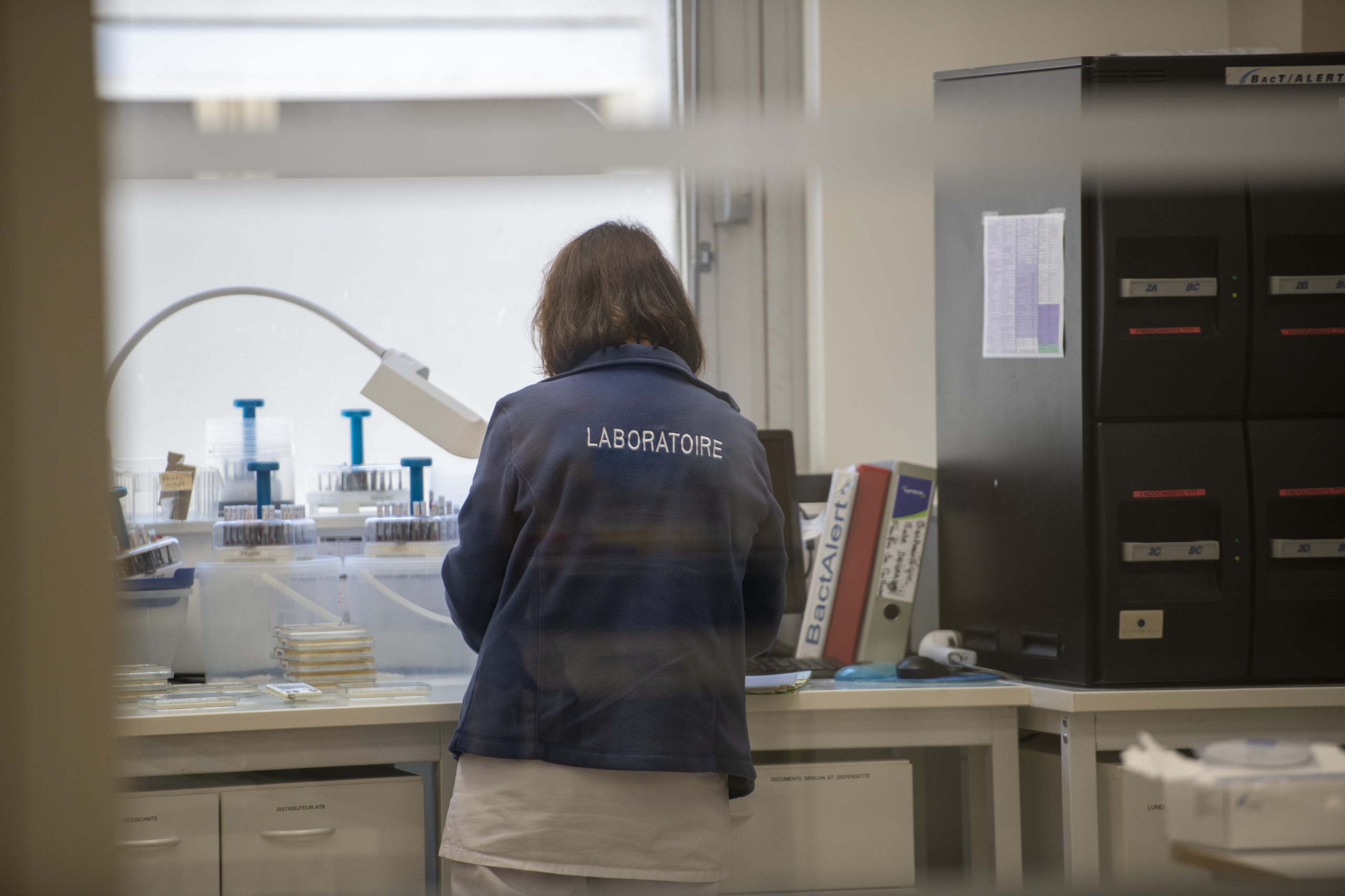 Laboratoire De Biologie Médicale Hôpital De Montélimar Hôpital De