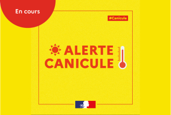 Vigilance canicule